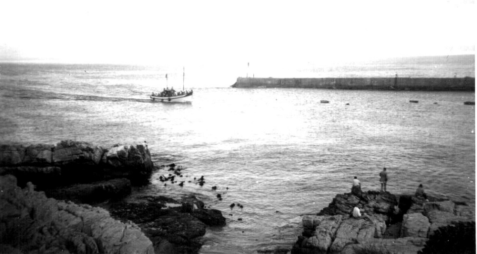 Presentation on Research in hand about the new Harbour, Hermanus